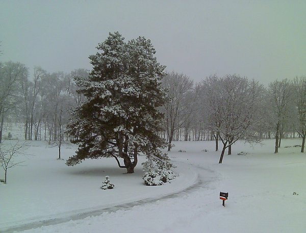 Snow and mist