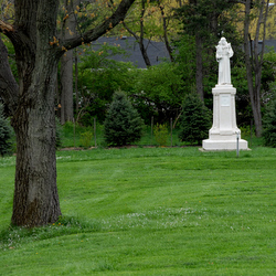 St Anthony statue by trees