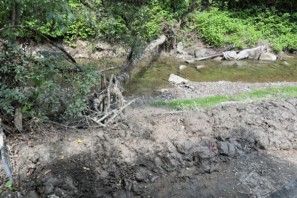 mud and fallen tree