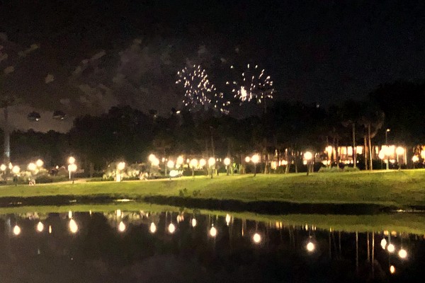 fireworks in night sky