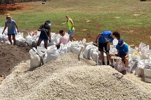 students shoveling