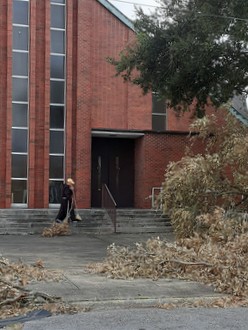 tree debris by church