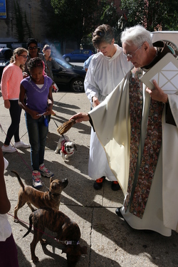 Priest blessing dogs