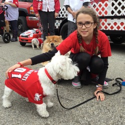 White dog wearing reds t-shirt with young firl