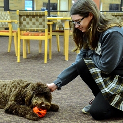 student plays with dog