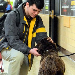 Student with dog in school